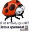 Че надо Че надо