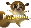 Светская львица Светская львица