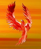 phoenixxx