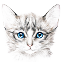 BlueeyesKitten BlueeyesKitten