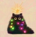 BlueeyesKitten BlueeyesKitten