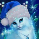 BlueeyesKitten BlueeyesKitten