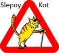 Slepoy_Kot Slepoy_Kot