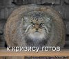 Aleks64rus