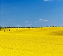 ххГРОБхх ххГРОБхх