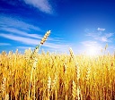 ххГРОБхх ххГРОБхх