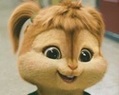 chipmunk
