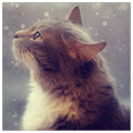 Black_Panther