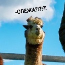 Olezha Olezha