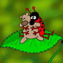 Decorous Decorous