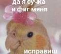Акира Акира