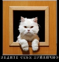 Акира Акира