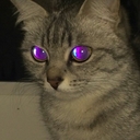 nihilist blues nihilist blues