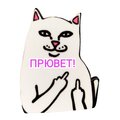 Сахиляндро Сахиляндро