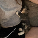 Аватар игрока