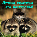 Подарок #1091