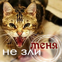 Подарок #1144