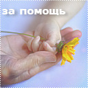 Подарок #1146