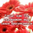 Подарок #1165