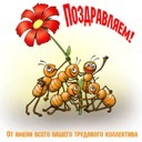 Подарок #1175