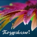 Подарок #1178