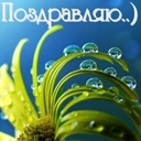 Подарок #1179