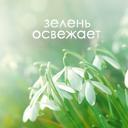 Подарок #1199
