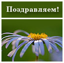 Подарок #13