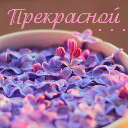 Подарок #1353