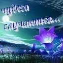 Подарок #1398