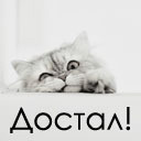 Подарок #143