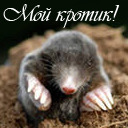 Подарок #1431