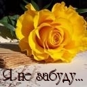 Подарок #1446