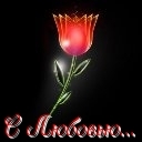 Подарок #1458