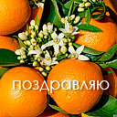 Подарок #1482