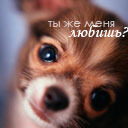 Подарок #1489