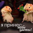 Подарок #1495