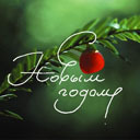 Подарок #157