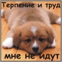 Подарок #1635
