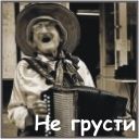 Подарок #1639