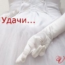 Подарок #1641
