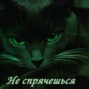 Подарок #1651