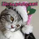 Подарок #166