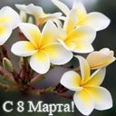 Подарок #175