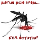 Подарок #1751