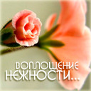 Подарок #1795