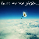 Подарок #1812