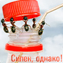 Подарок #1830