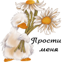 Подарок #1850