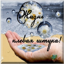 Подарок #1852